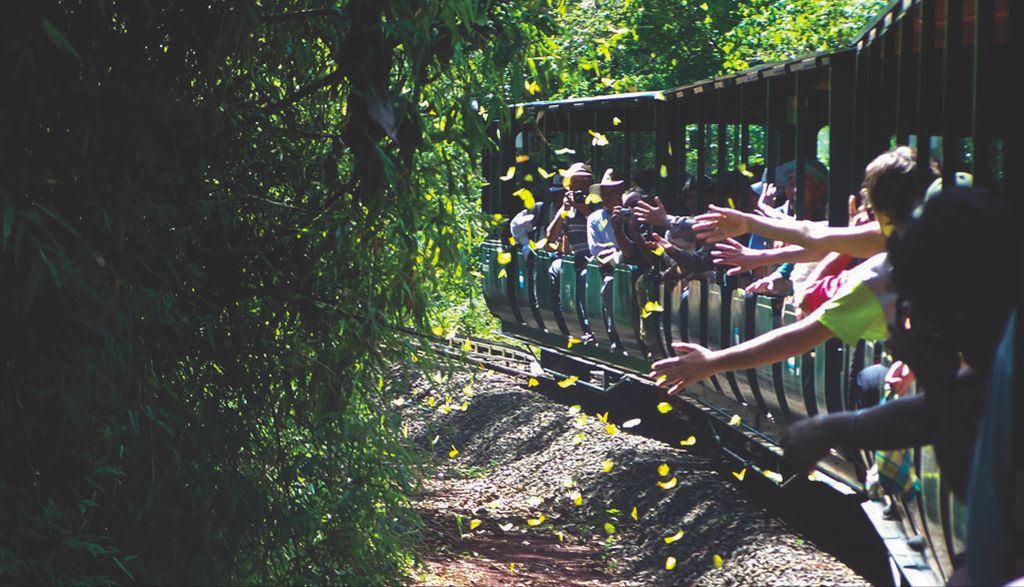 tren econlogico cataratas iguazu parque nacional argentino