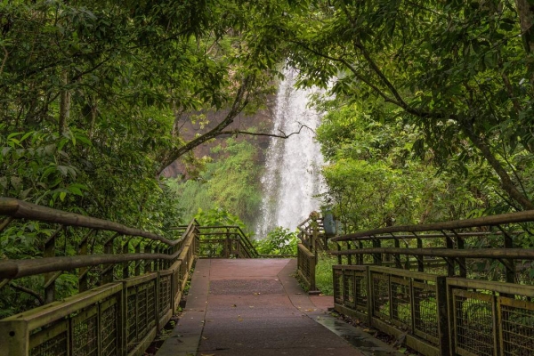 Excursiones en Iguazú con programas optimizados para tu mejor experiencia
